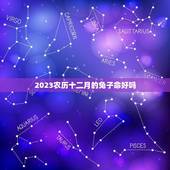 2023农历十二月的兔子命好吗(介绍运势如何)