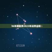 96年属鼠男2023年运势运程(大展宏图财运亨通)