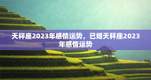 天秤座2023年感情运势，已婚天秤座2023年感情运势