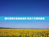 国内高房价是谁造成的 有这几方面的因素