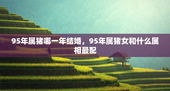 95年属猪哪一年结婚，95年属猪女和什么属相最配