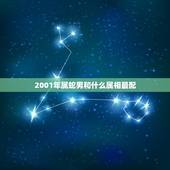 2001年属蛇男和什么属相最配(寻找配对)