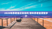 2020年养老金还会涨吗 明年养老金调整多少
