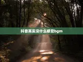 抖音其实没什么感觉bgm