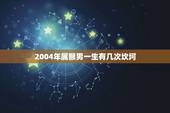 2004年属猴男一生有几次坎坷(命运多舛挑战不断)