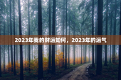 2023年我的财运如何，2023年的运气