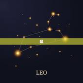 十二生肖婚配表全解(如何选择婚姻伴侣)