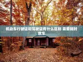 机动车行驶证和驾驶证有什么区别 需要随时放车