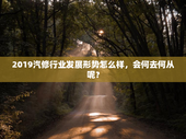 2019汽修行业发展形势怎么样，会何去何从呢？