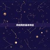 生肖配对鸡和狗相配吗(介绍命运相连还是水火不容)