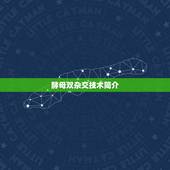 酵母双杂交一对一验证(介绍蛋白质相互作用的新方法)