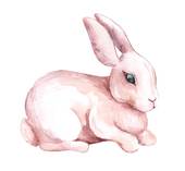 兔女和蛇男婚配怎么样呢(异类组合的爱情真的能长久吗)