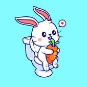 属兔女和属猴男的合不合(星座配对分析)