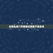 合婚生辰八字婚姻日期属于算命吗(介绍介绍)