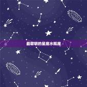 十二星座的星座(介绍哪个星座最出色)