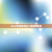 2023年易丧命的人有属狗的吗(狗年人命运如何)