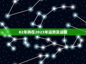 82年狗在2023年运势及运程(十二生肖2023年运势预测)