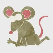 十二生肖时辰对照表解析：原理与应用指南