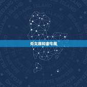 处女座和什么星座最配呢(星座专家介绍组合)