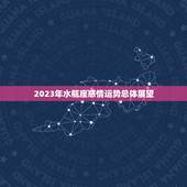 2023年水瓶座感情(展望爱情运势大好)