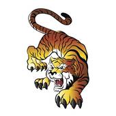 74年虎配什么生肖最好(如何选择最佳配偶)