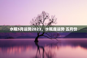 水瓶5月运势2023，水瓶座运势 五月份