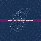 属虎人2023年运势及每月运势(猛虎崛起财运亨通)
