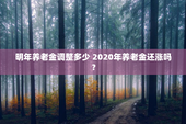 明年养老金调整多少 2020年养老金还涨吗？