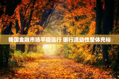 我国金融市场平稳运行 银行流动性整体充裕