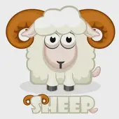 79年属羊男2025年运势预警：3大避坑指南必看