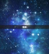 白羊座扎什么头看(时尚发型指南)