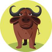 金牛座2023年每月运势(财运亨通爱情甜蜜)