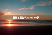 王嘉尔装生气bambam哭