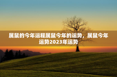 属鼠的今年运程属鼠今年的运势，属鼠今年运势2023年运势