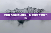 恢复视力的训练秘笈是什么 能恢复正常视力吗
