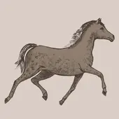 属马人今日运势全解析：水墨先生提醒三吉三忌