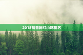 2018抖音网红小吃排名