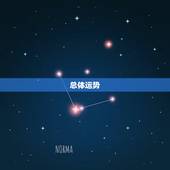 属猴的今年命运怎样呢(2023年猴子运势大介绍)