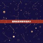 属狗的发财数字是多少(介绍狗年财运数字助你财源滚滚)