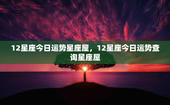 12星座今日运势星座屋，12星座今日运势查询星座屋