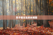 双子座女生的长相图