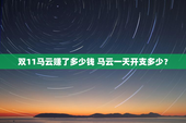 双11马云赚了多少钱 马云一天开支多少？
