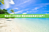 贾跃亭2019现状 贾跃亭现在有多少资产？