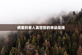 病重的老人离世前的举动是啥