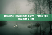 水瓶座今日幸运颜色水墨先生，水瓶座今日幸运颜色是什么