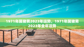 1971年属猪男2023年运势，1971年属猪男2023年全年运势