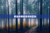 男生好感和喜欢的区别