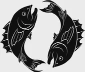 双鱼座男生性格特征解析：10个隐藏特质的真实解读