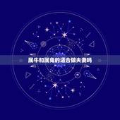 属牛和属兔的适合做夫妻吗(让你了解属相配对的秘密)
