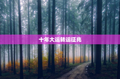 十年大运转运征兆